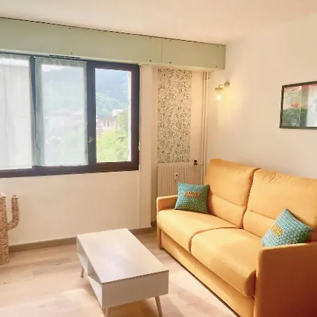 Apartment Joli Proche Vieille + Parking Annecy